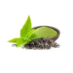Herbal Tea Extracts